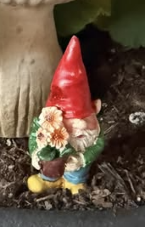 Mini Gnome Figurine - Pot