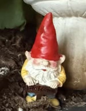 Mini Gnome Figurine - Sign