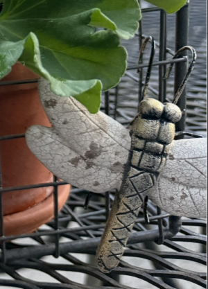 Resin Insect Pot Hangers - Dragonfly