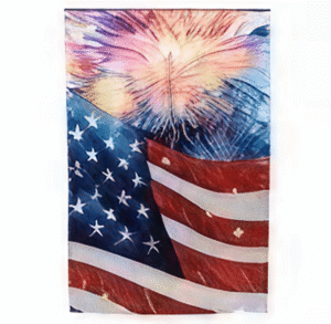 Patriotic flag and vibrant fireworks display