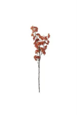 Orange Cherry Blossom Floral