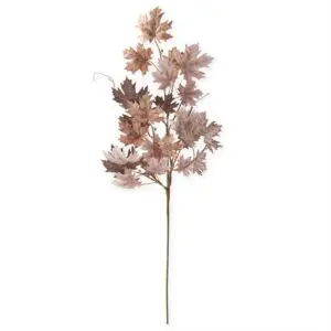 Sugar Maple Leaf Stem