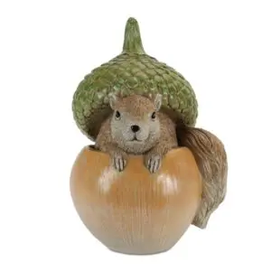 Squirrel in Acorn