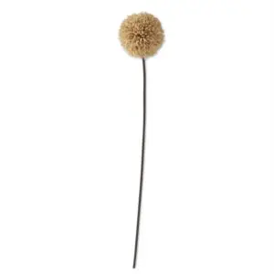 Tan Allium Floral Stem