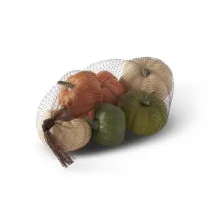 Mini Orange and Green Filler Pumpkin