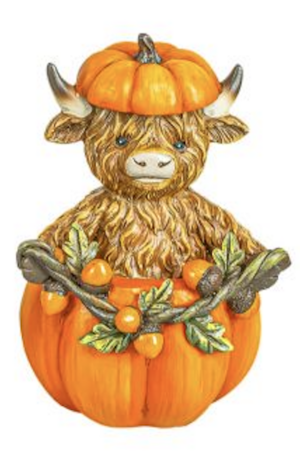 Harvest Highland Calf - Pumpkin