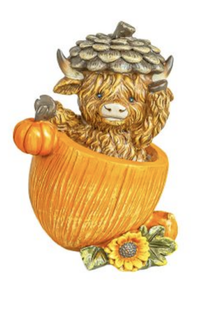 Harvest Highland Calf