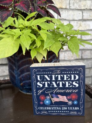 Red, White, and Blue Sign Block