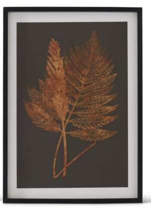 Black Wood Framed Orange Fern
