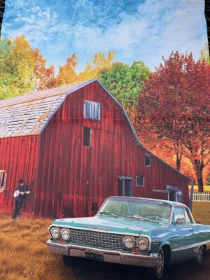 Pickin' At The Barn Garden Flag